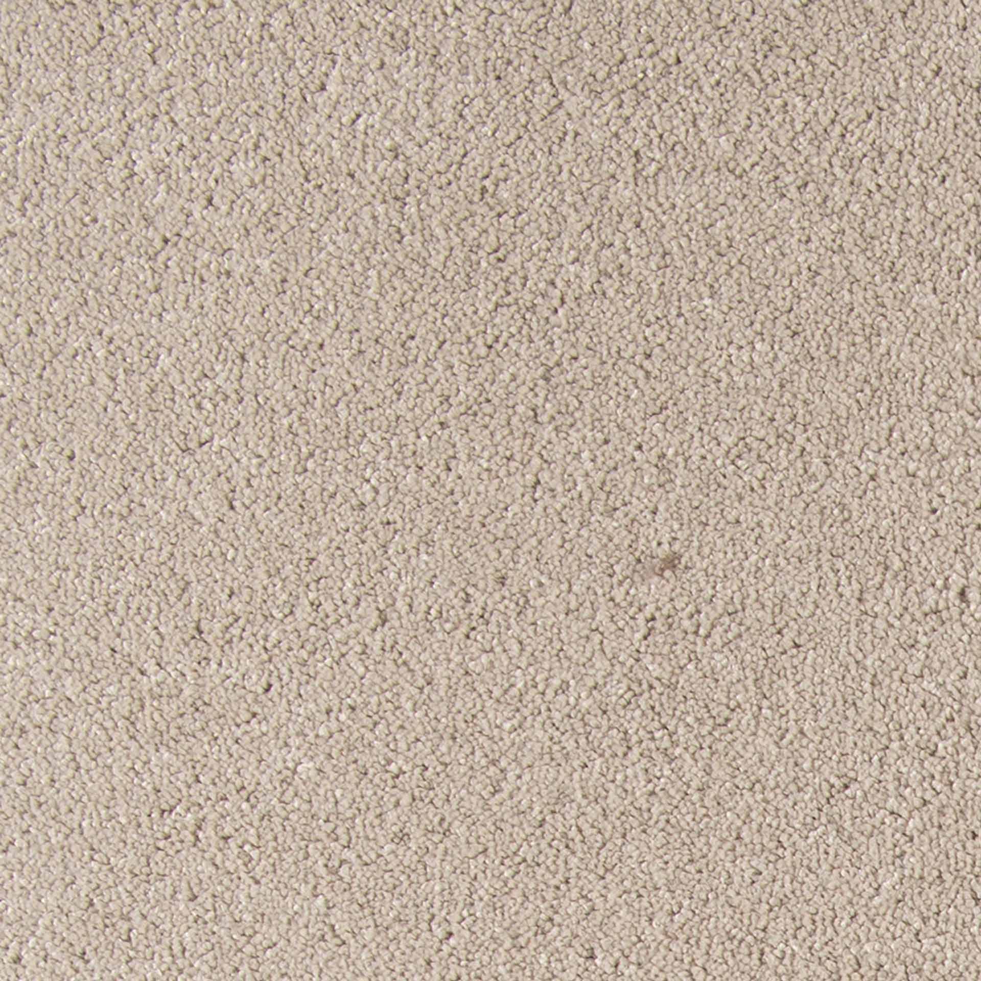Belina - Image 17