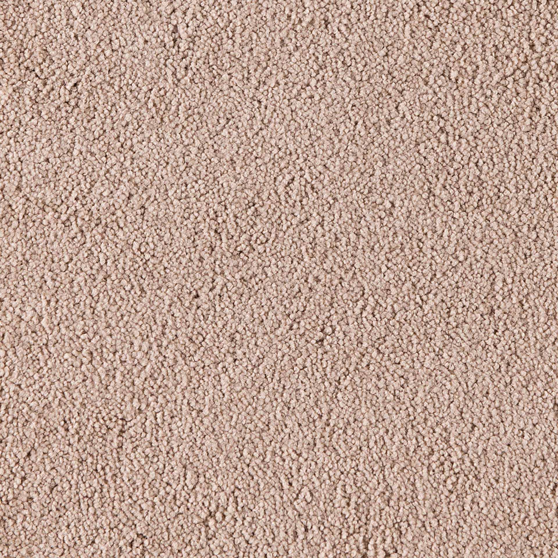 Belina - Image 11