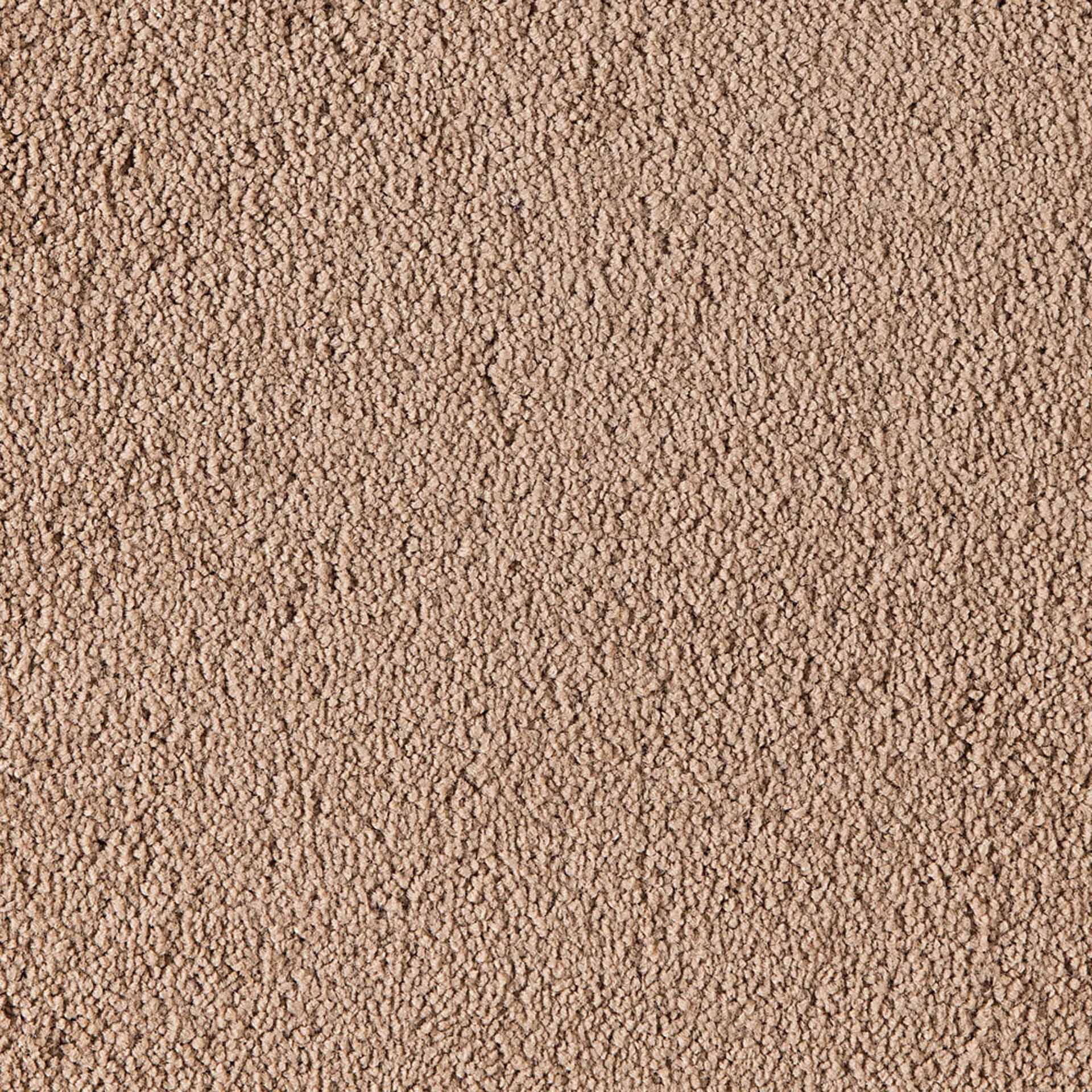 Belina - Image 10