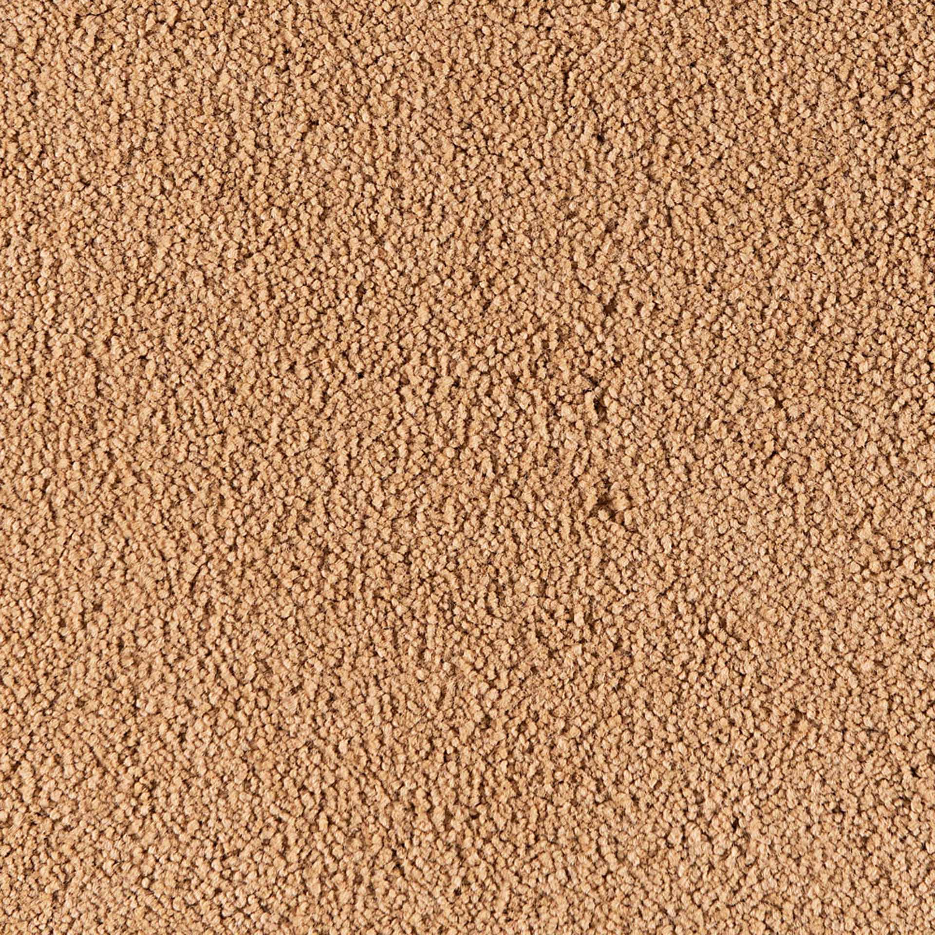 Belina - Image 9