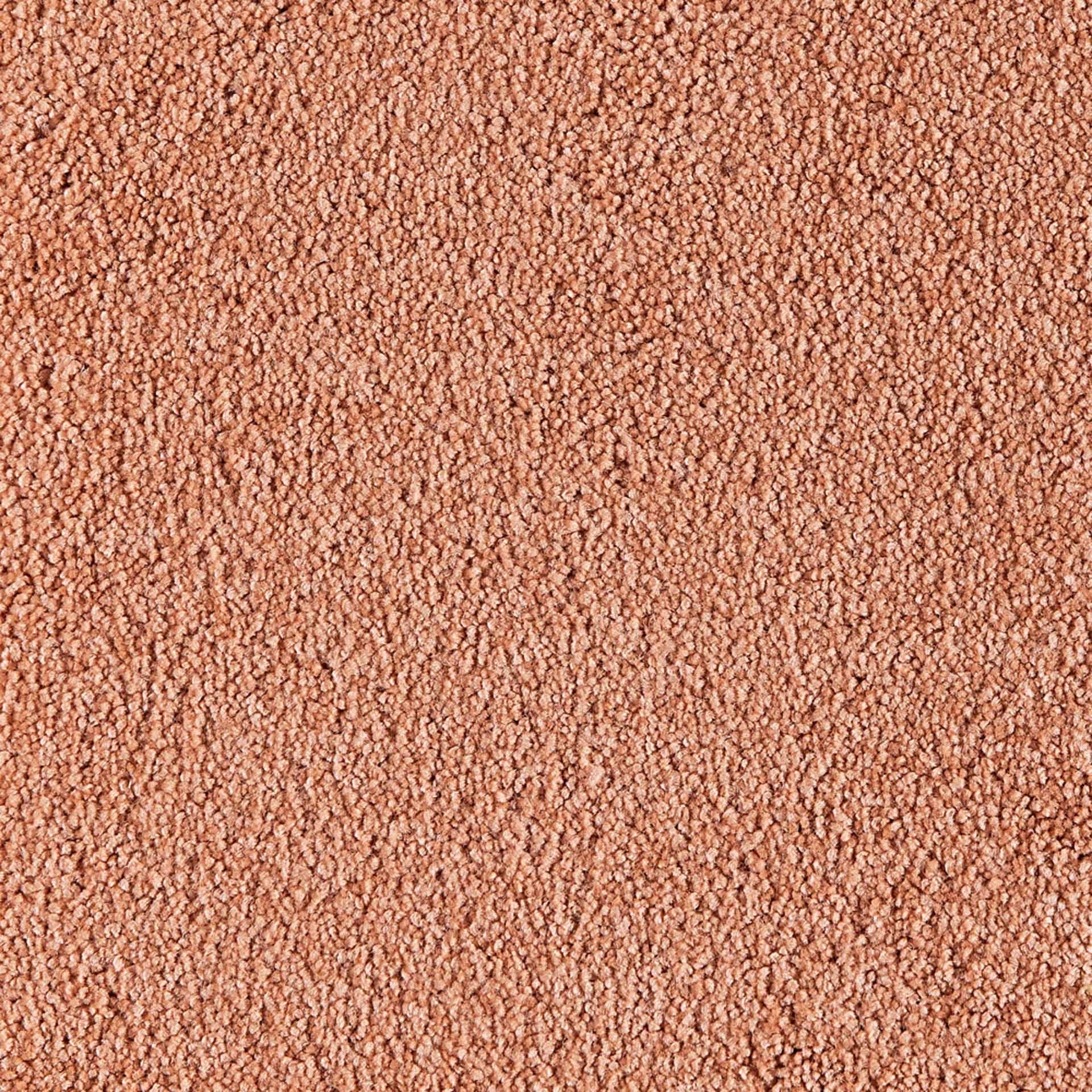 Belina - Image 8