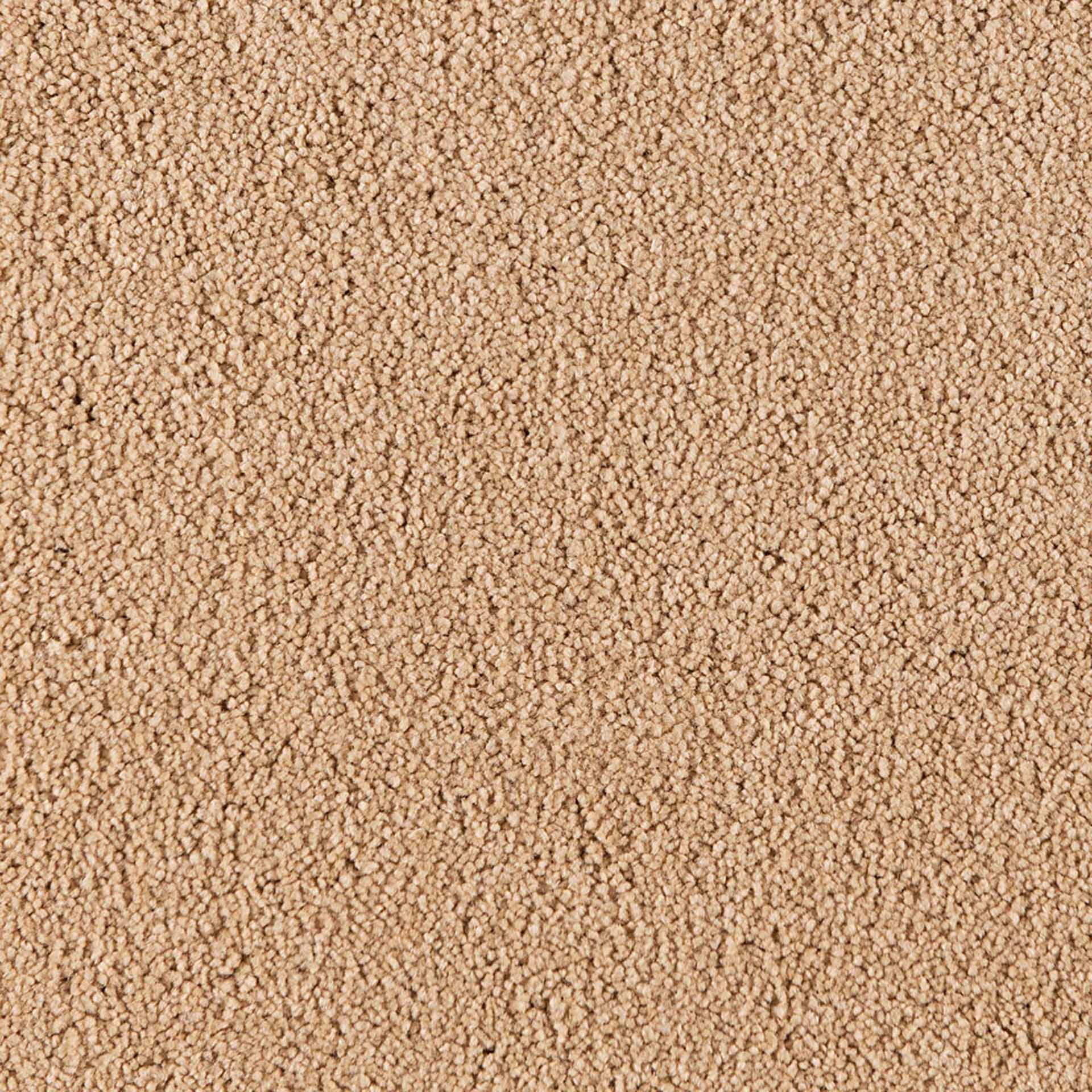 Belina - Image 7