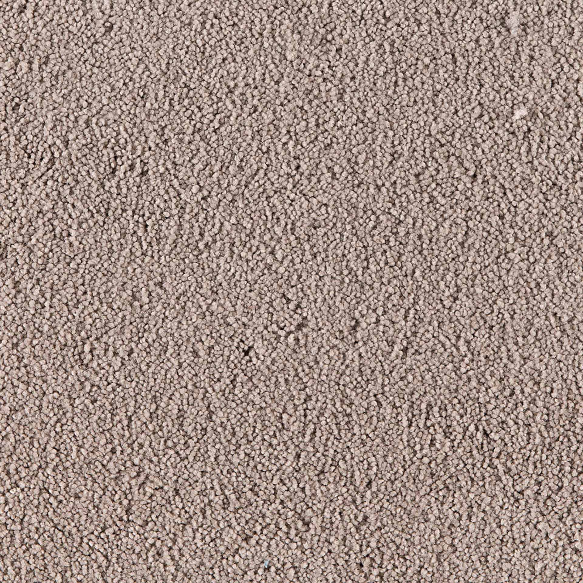 Belina - Image 6