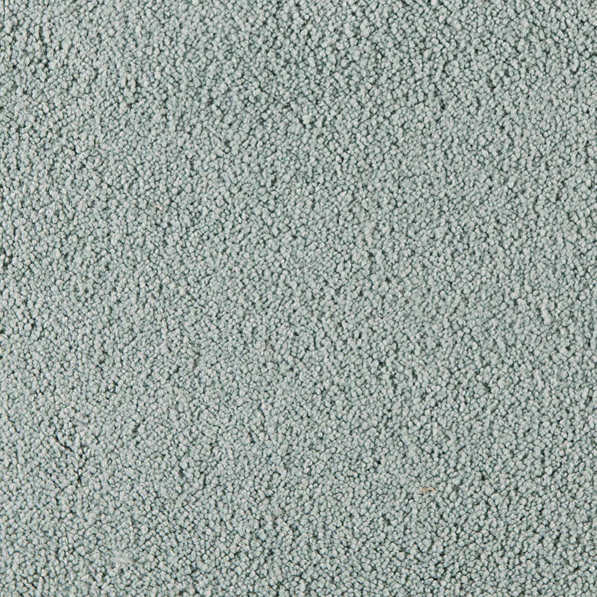 Belina - Image 5