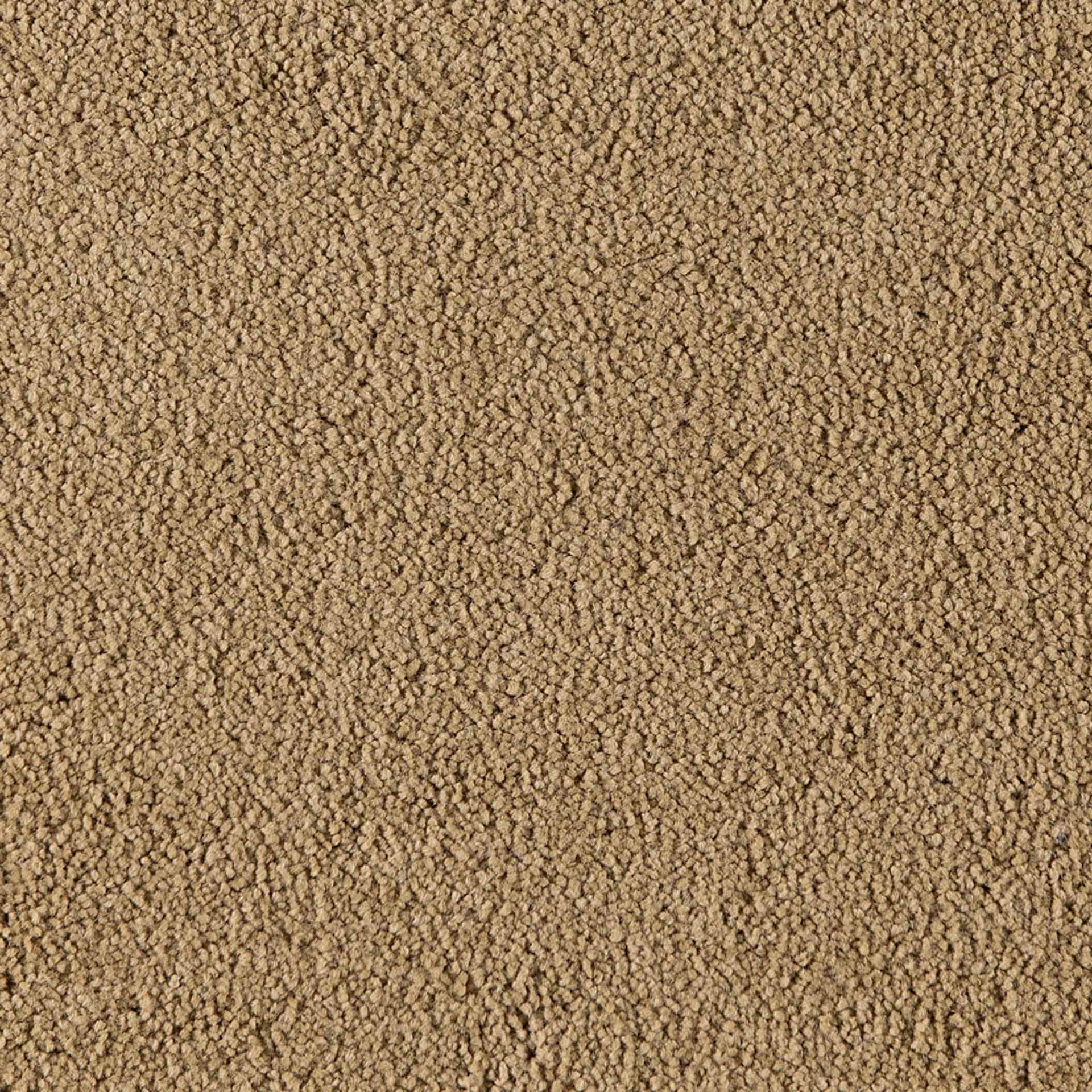 Belina - Image 3