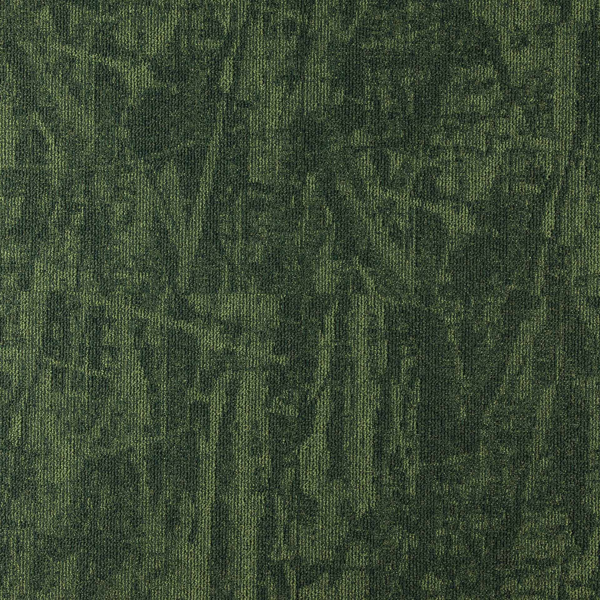 Crossline - Image 3