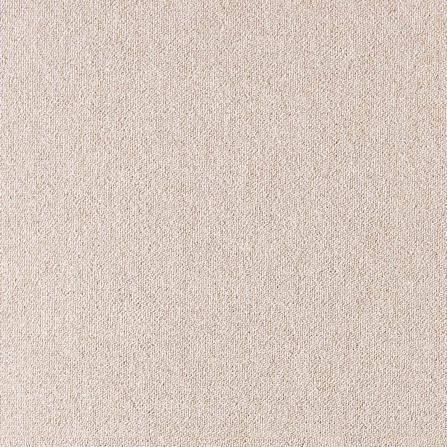 Cobalt SDN - Image 29