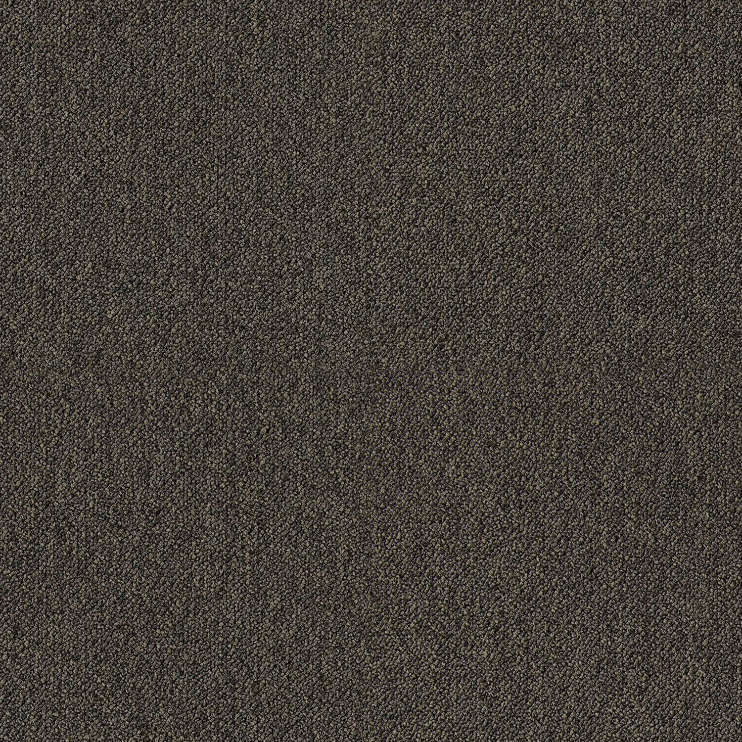 Cobalt SDN - Image 28