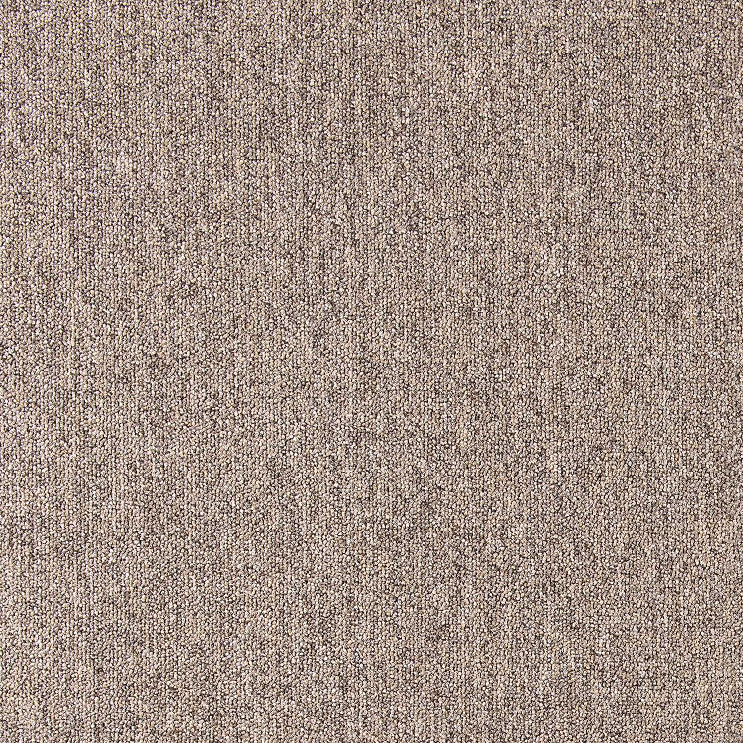 Cobalt SDN - Image 27