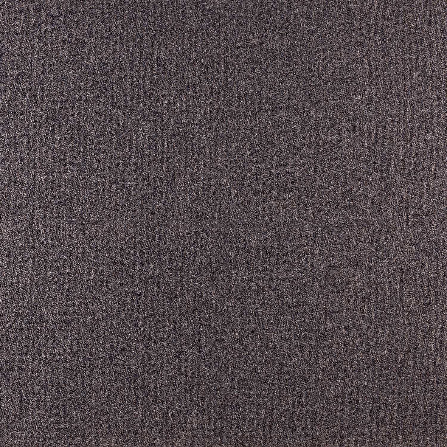Cobalt SDN - Image 26