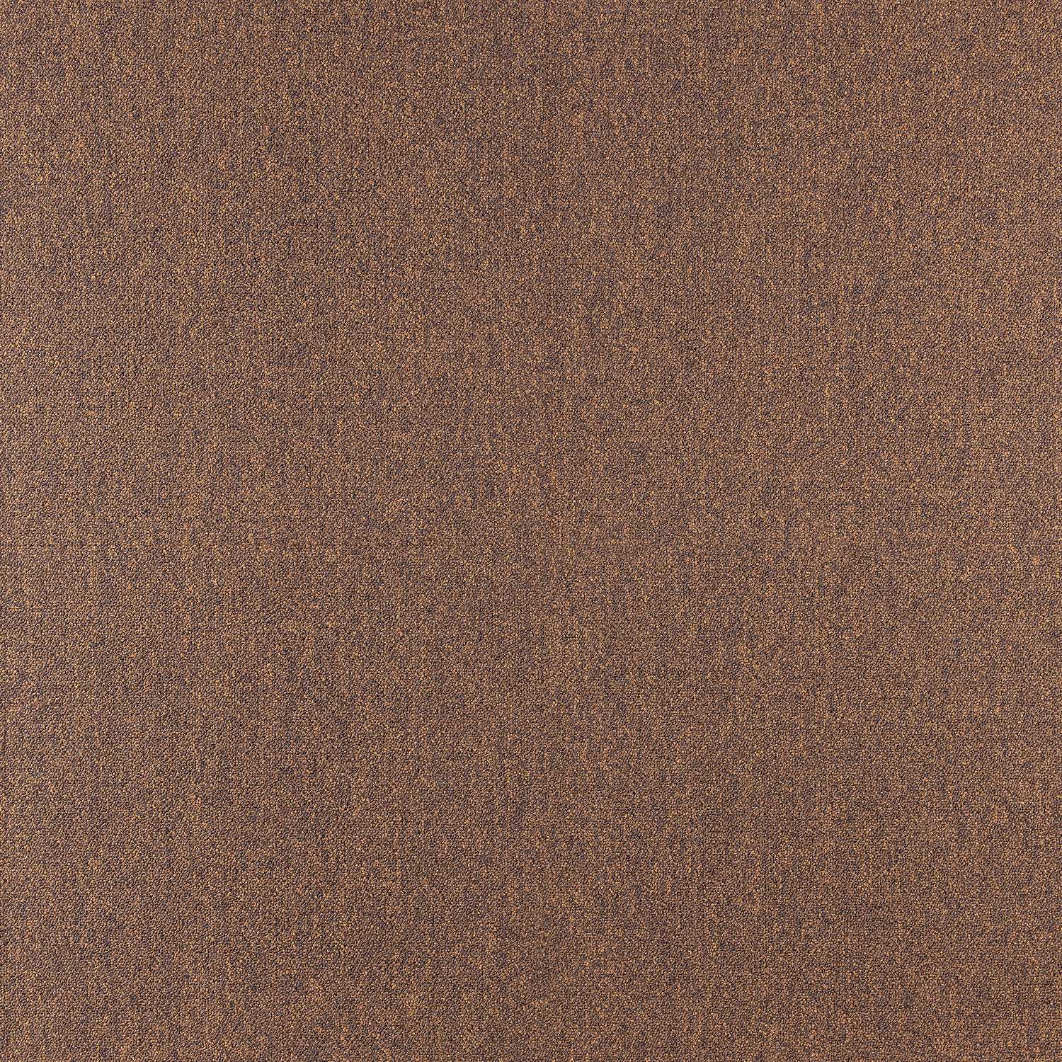 Cobalt SDN - Image 25
