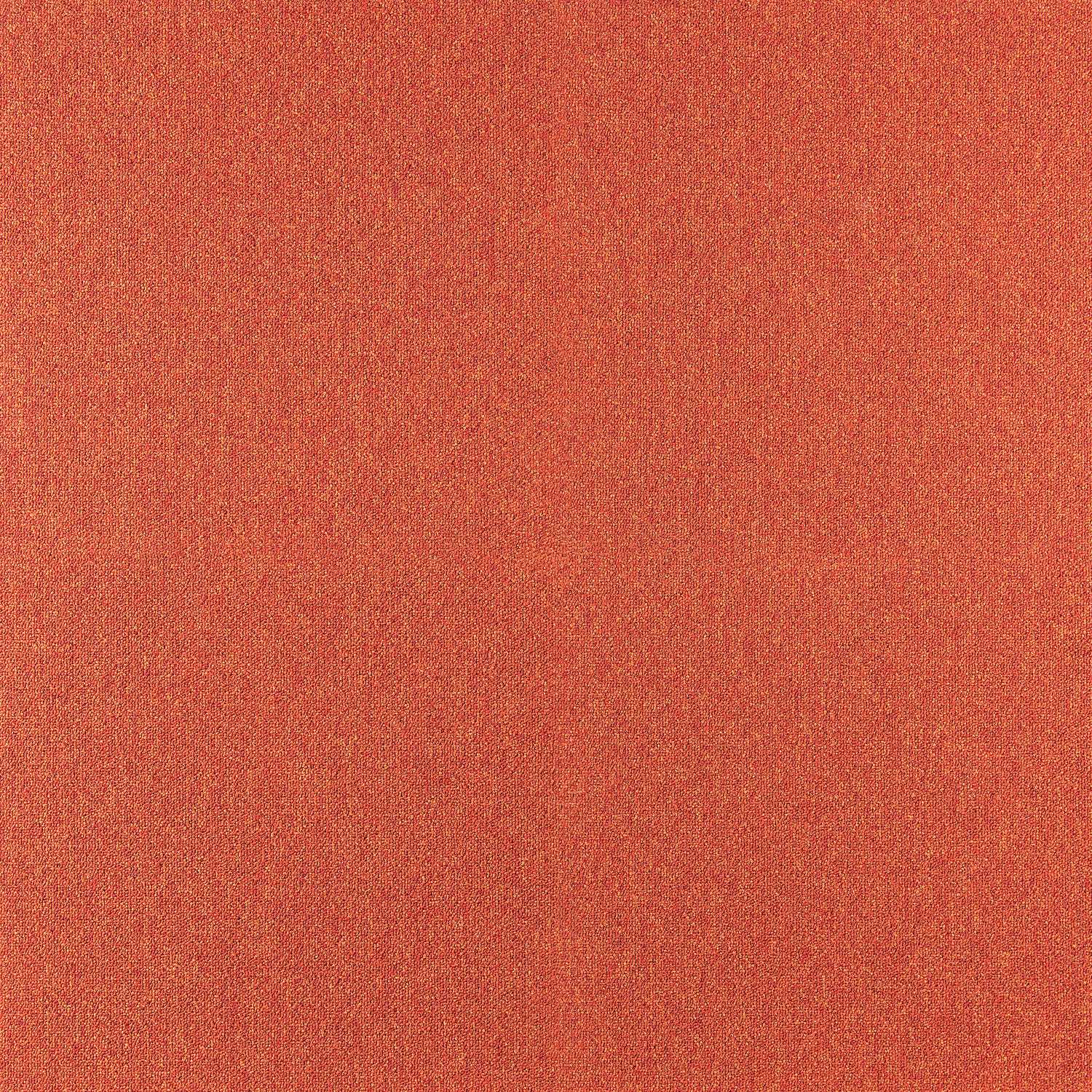 Cobalt SDN - Image 24