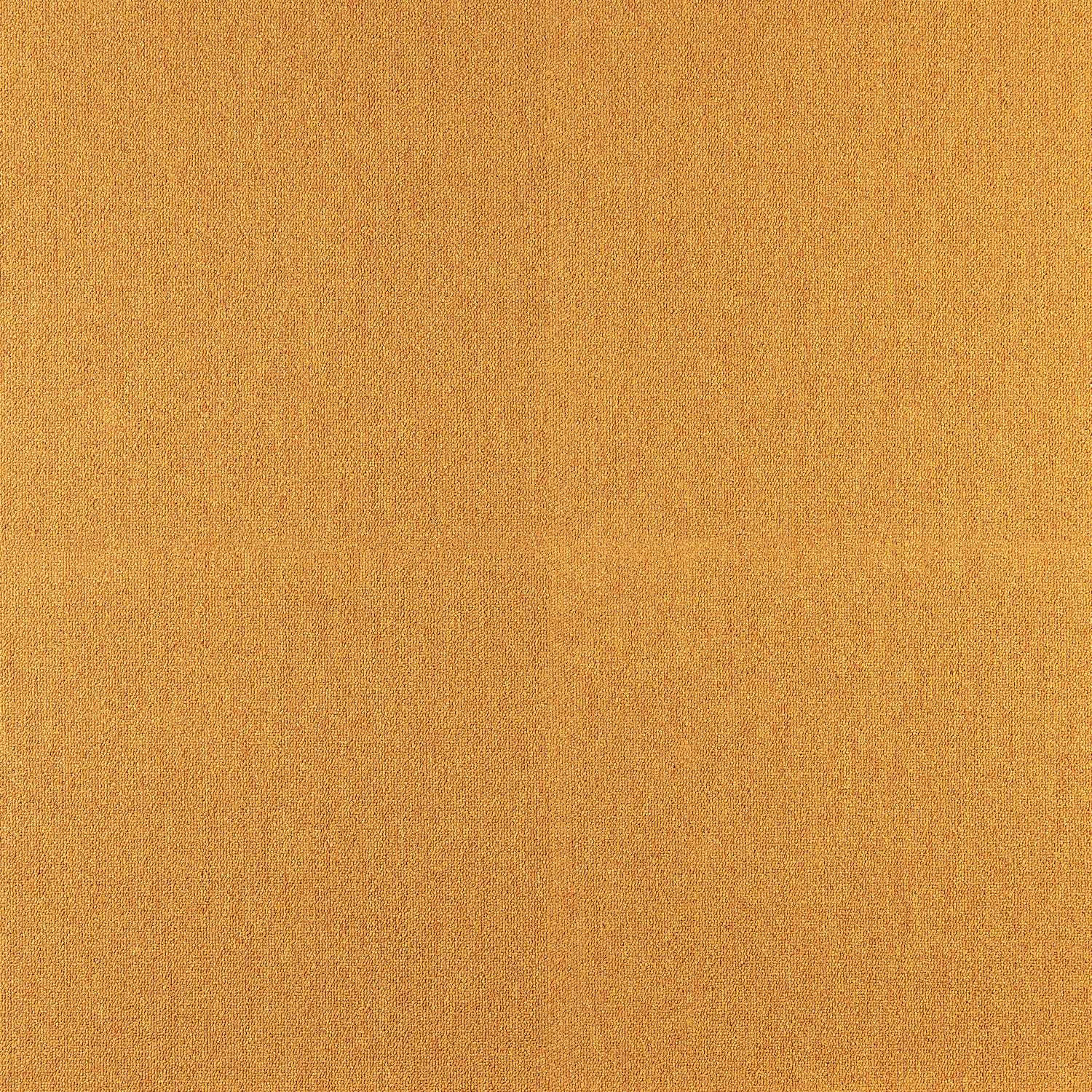 Cobalt SDN - Image 19