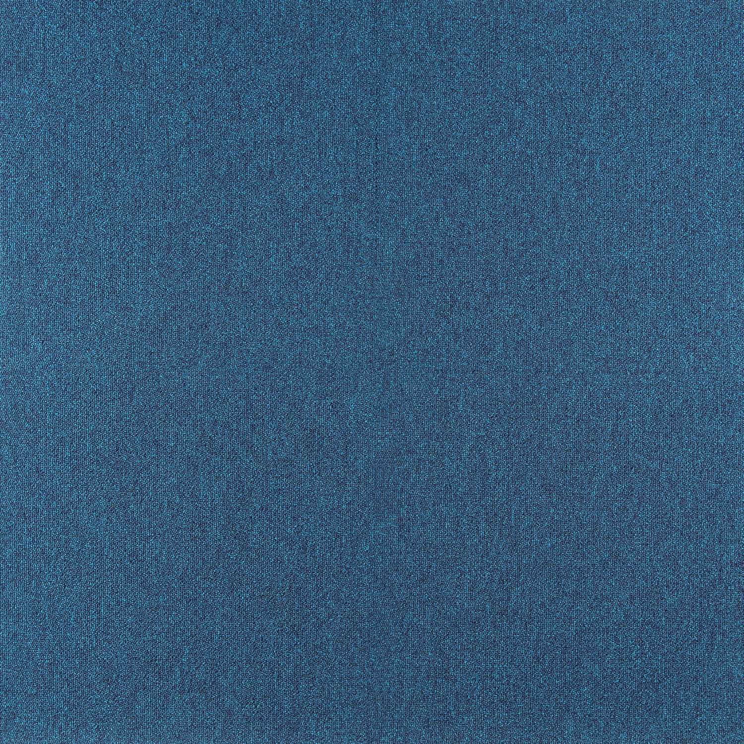 Cobalt SDN - Image 11