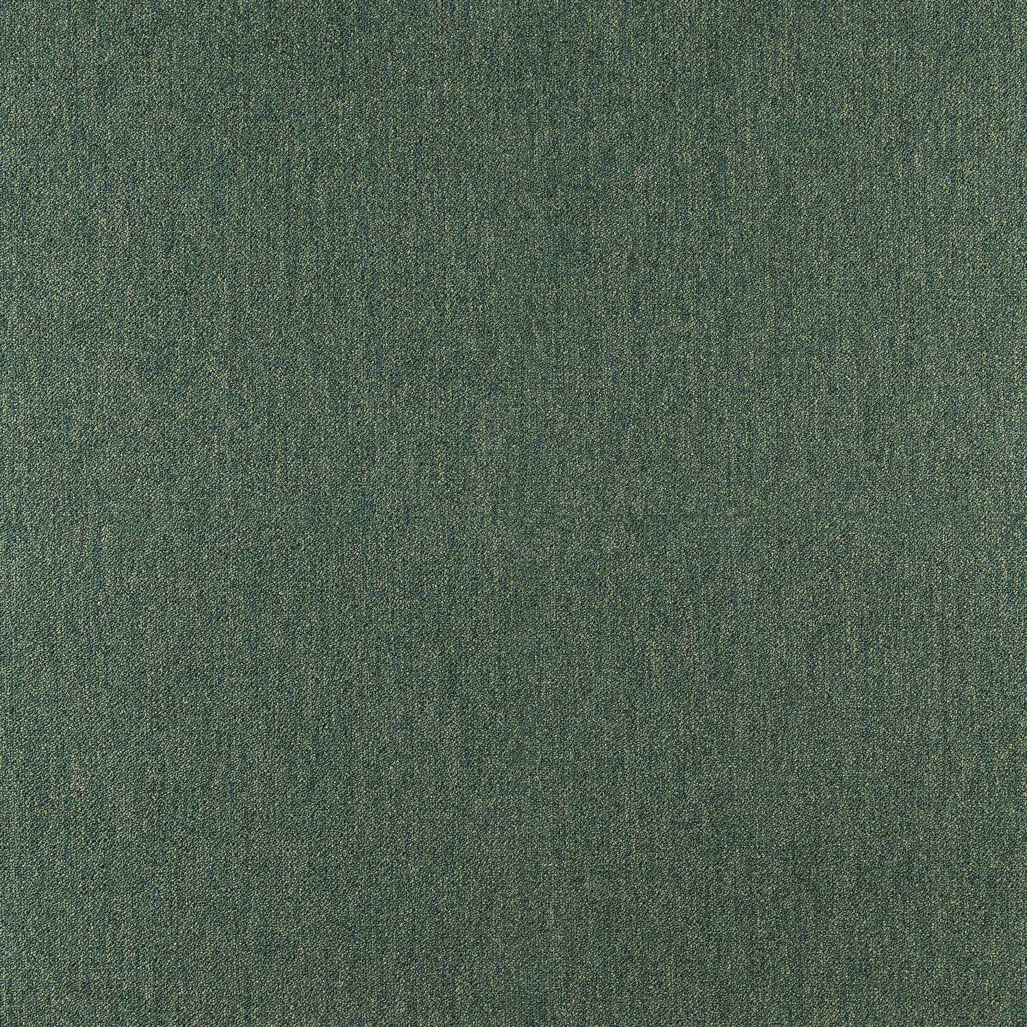 Cobalt SDN - Image 9