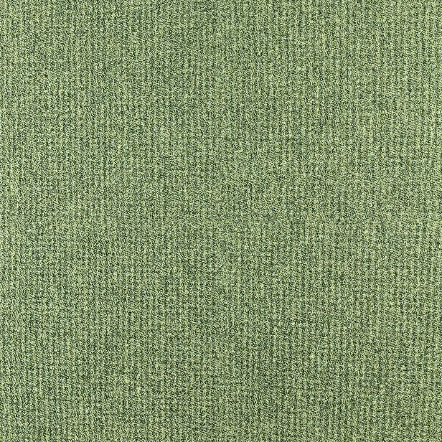 Cobalt SDN - Image 8