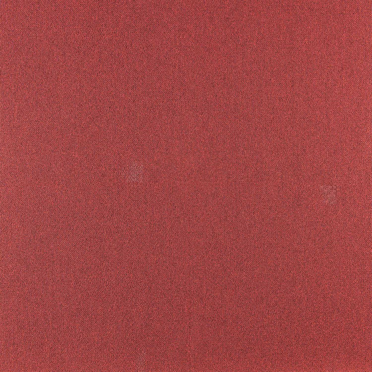 Cobalt SDN - Image 7