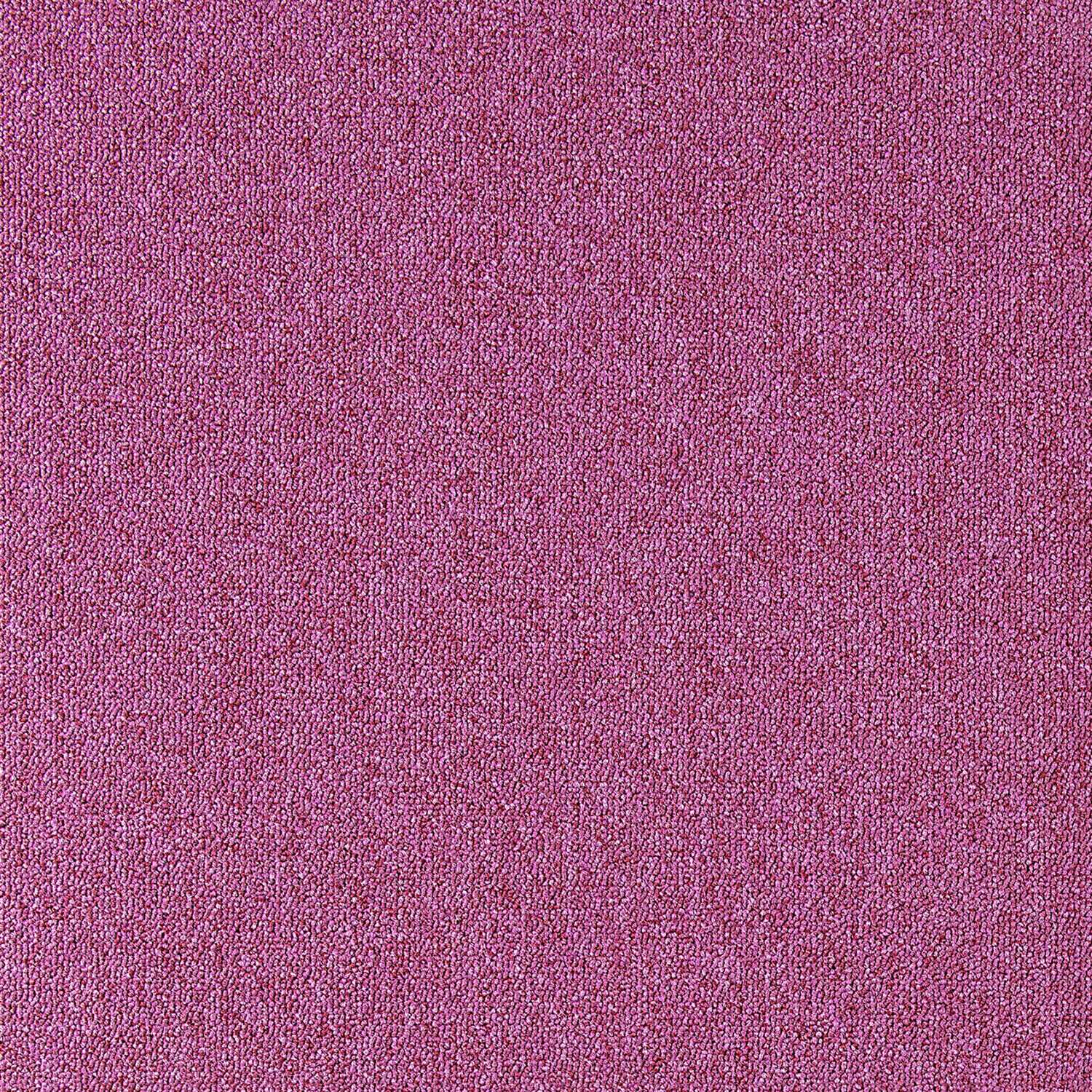 Cobalt SDN - Image 6