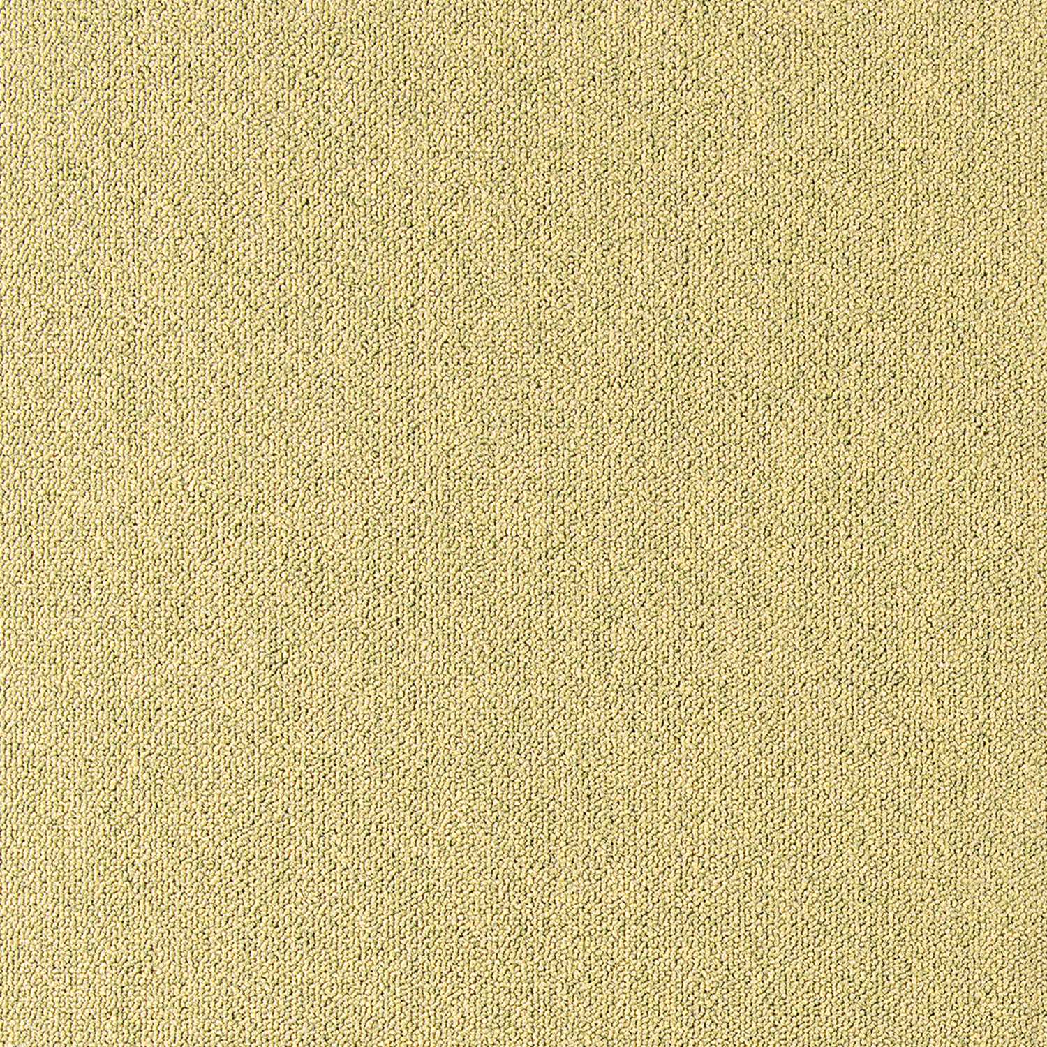 Cobalt SDN - Image 5