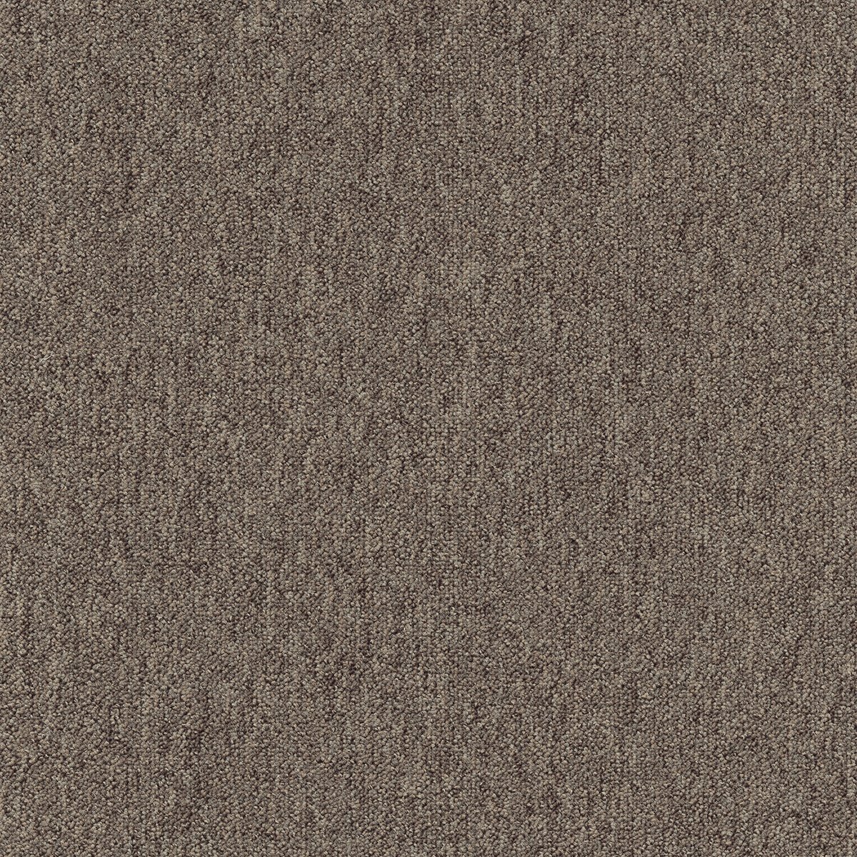 Coral (Lines) - Image 14