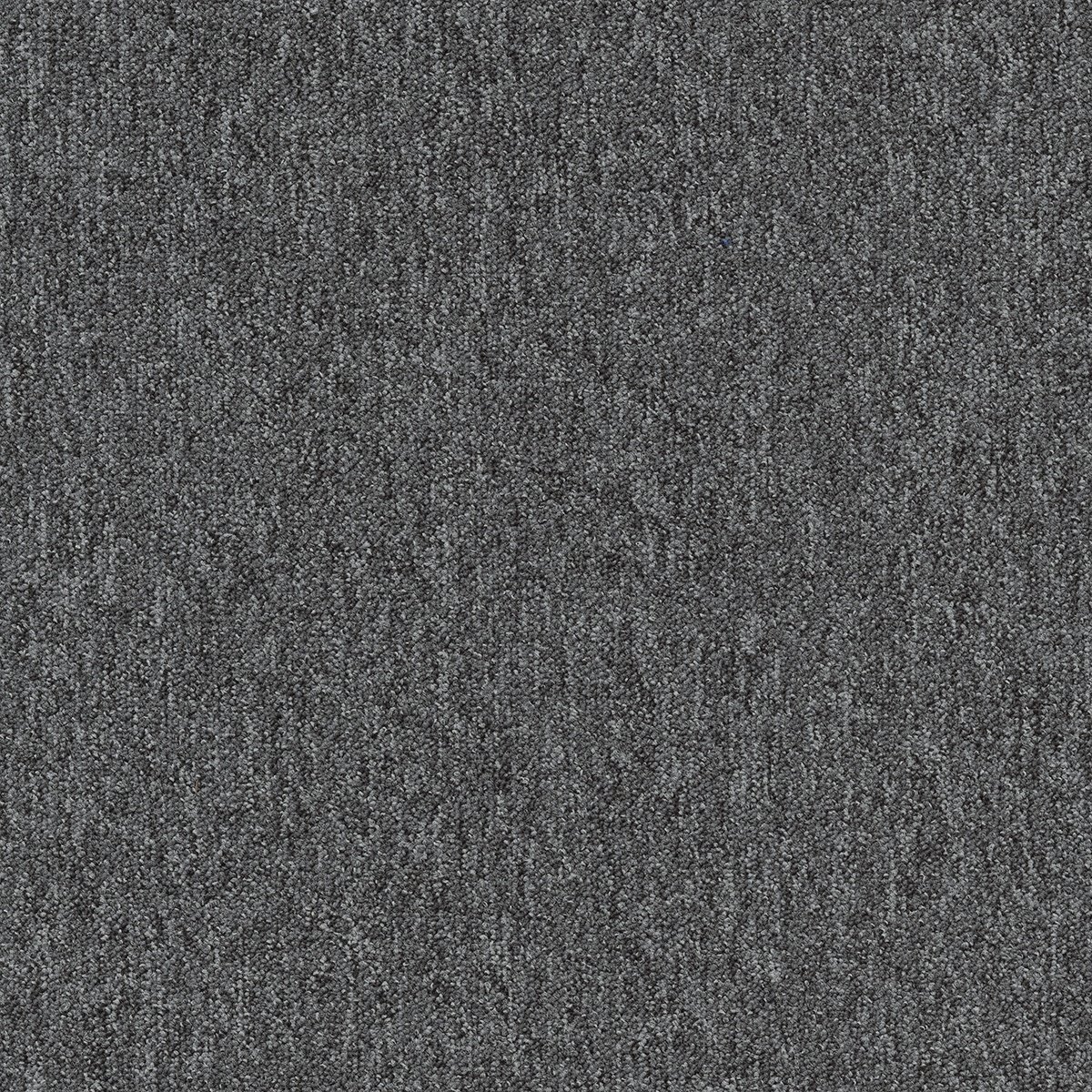 Coral (Lines) - Image 13