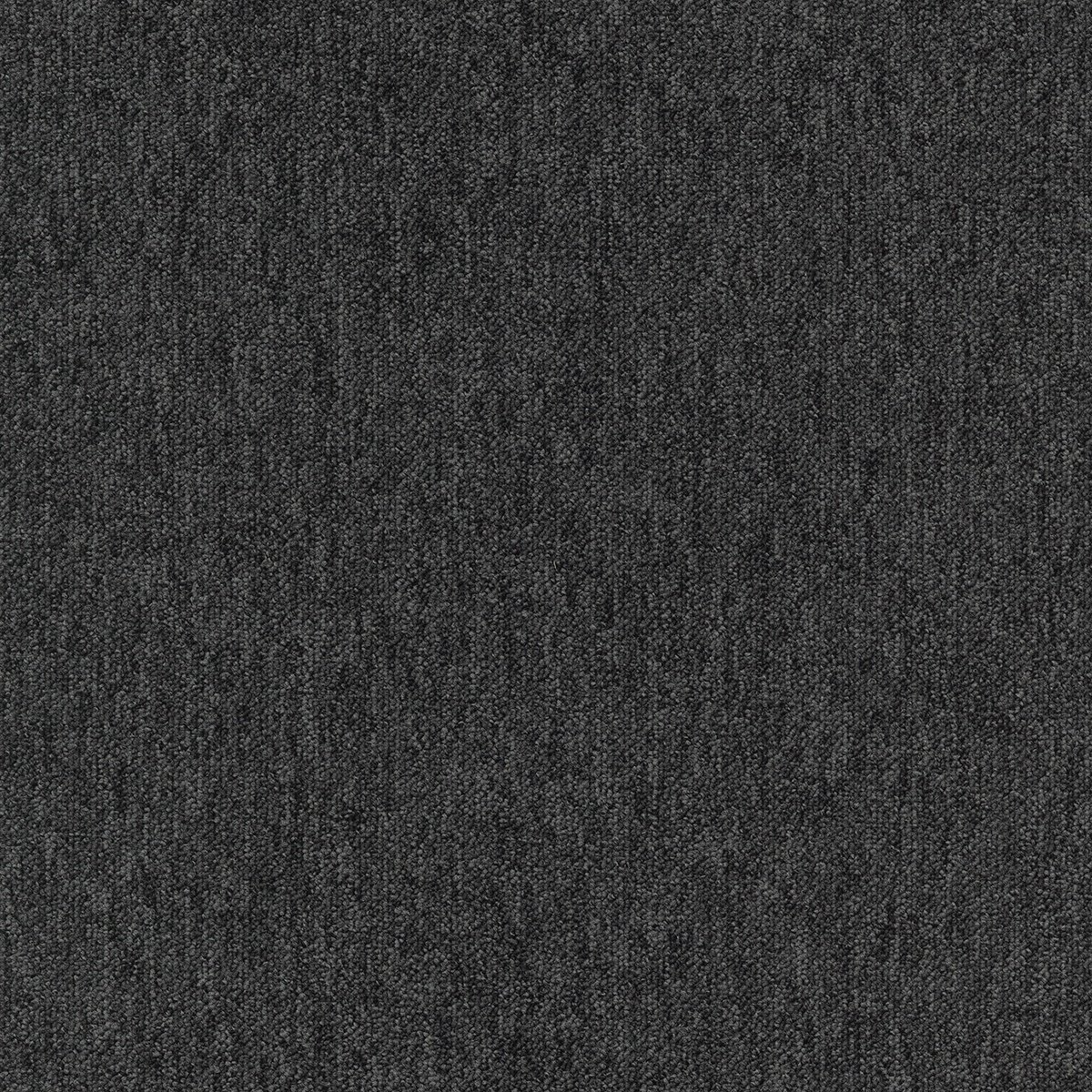 Coral (Lines) - Image 12