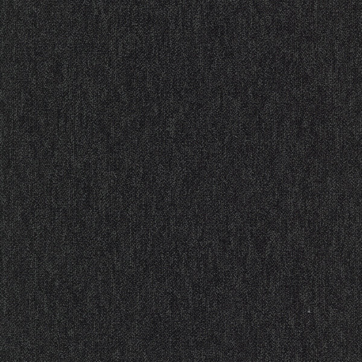 Coral (Lines) - Image 11