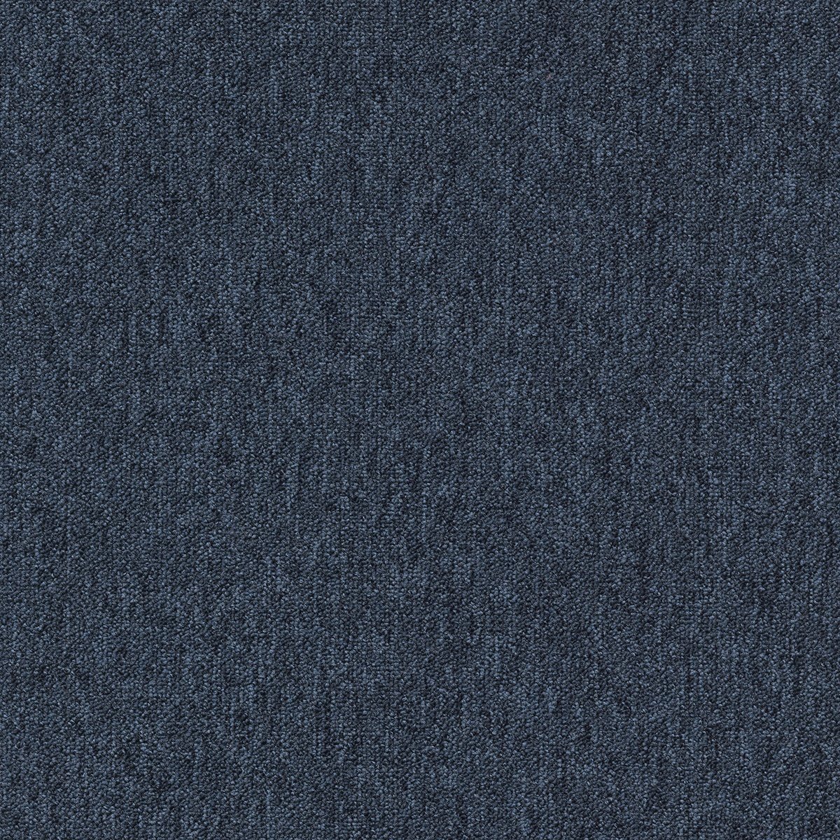 Coral (Lines) - Image 10