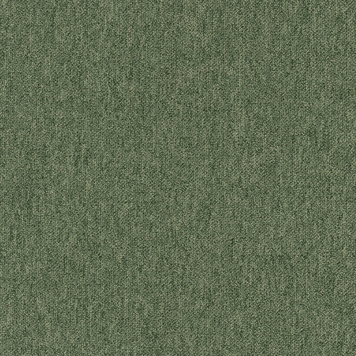 Coral (Lines) - Image 2