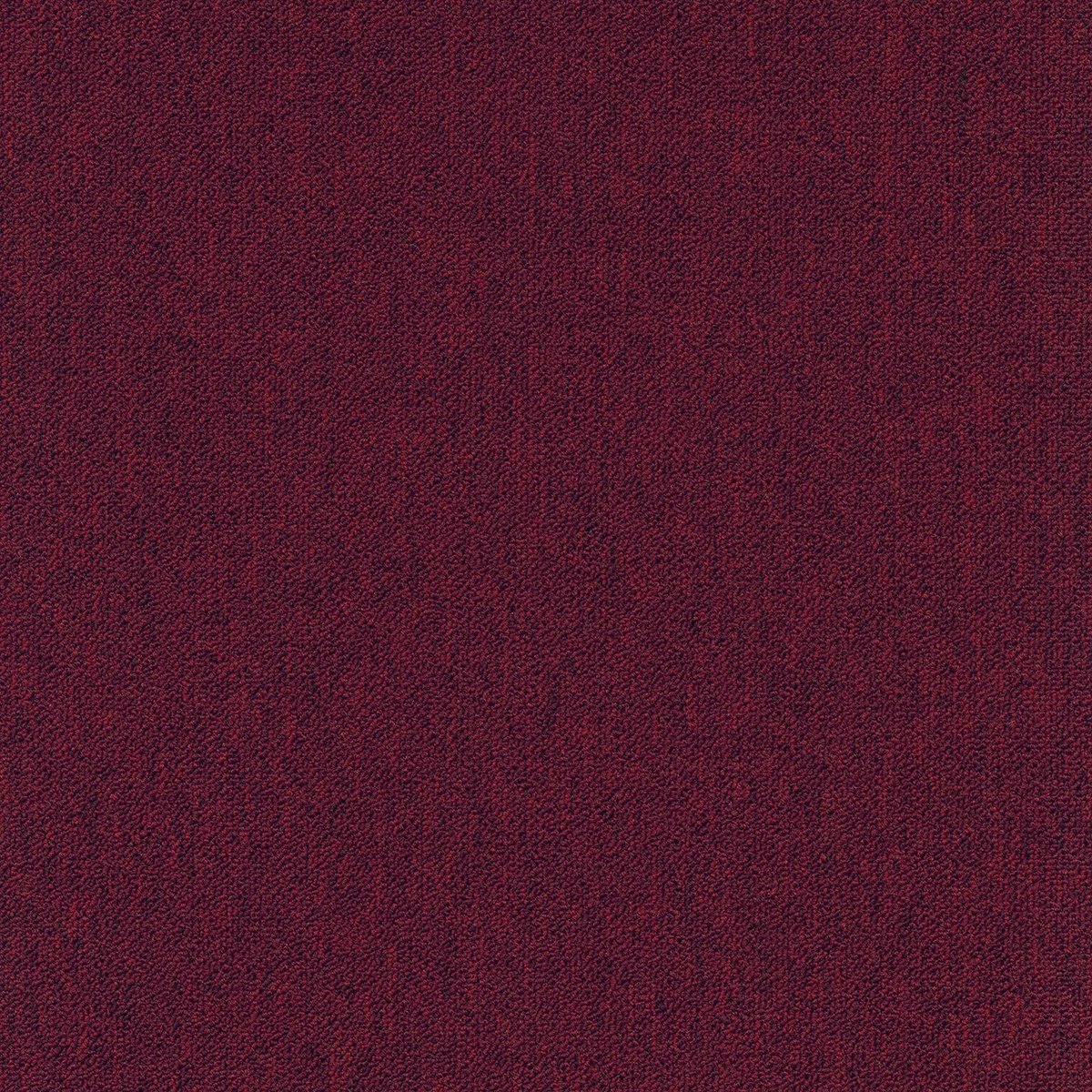 Coral (Lines) - Image 9