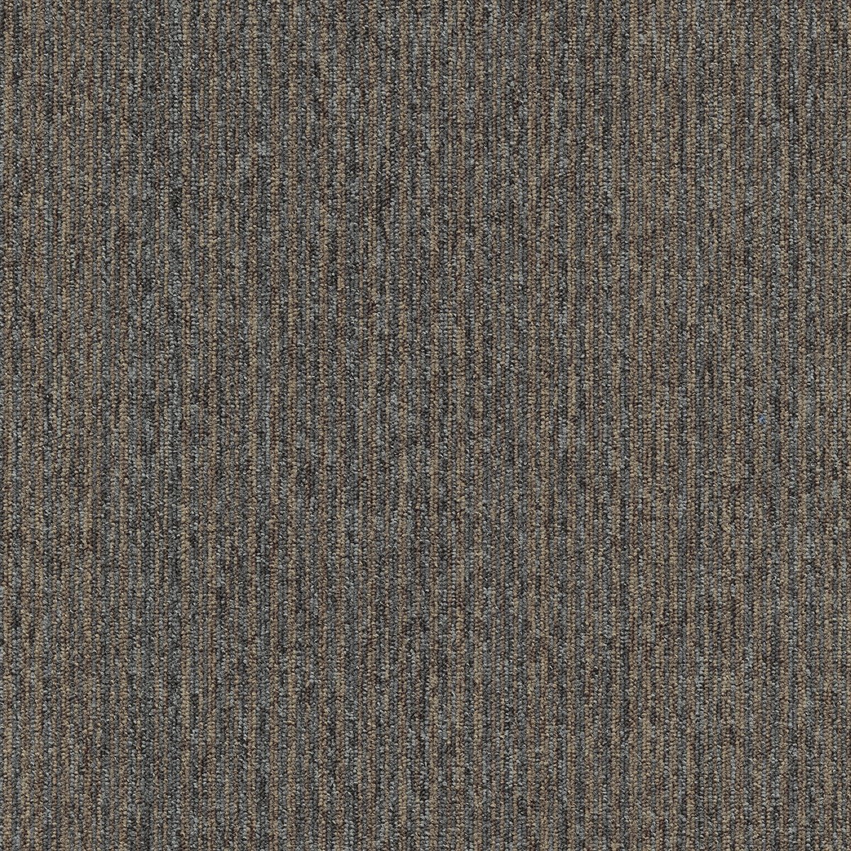 Coral (Lines) - Image 8