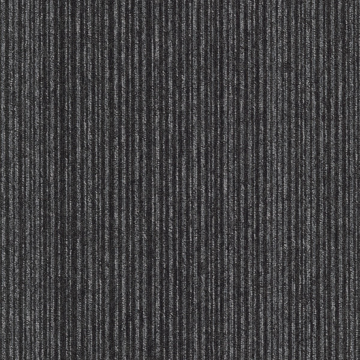 Coral (Lines) - Image 7