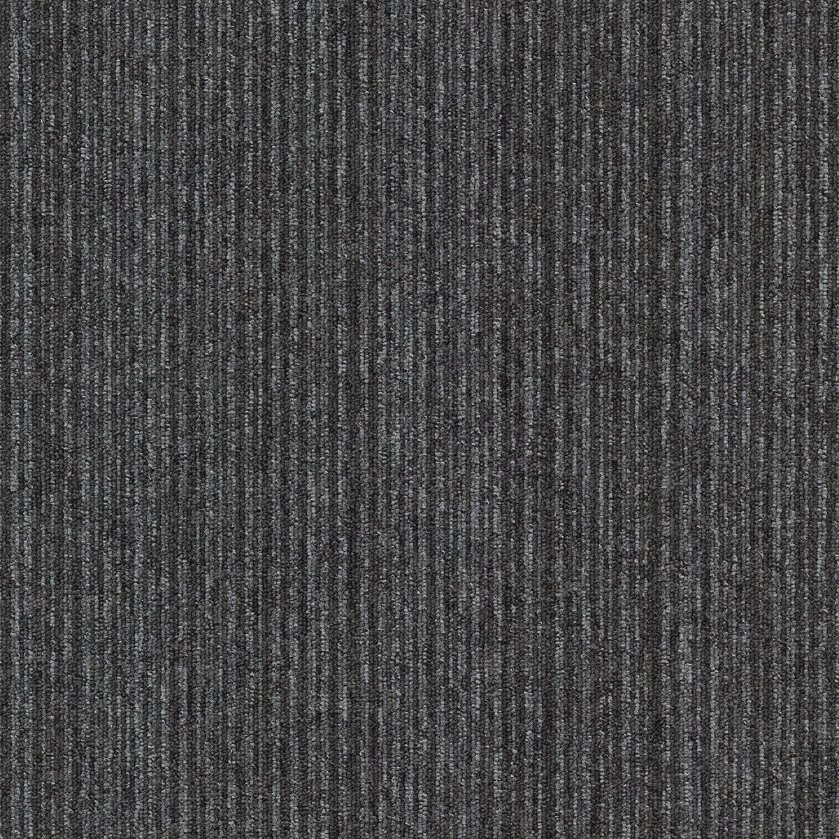 Coral (Lines) - Image 6