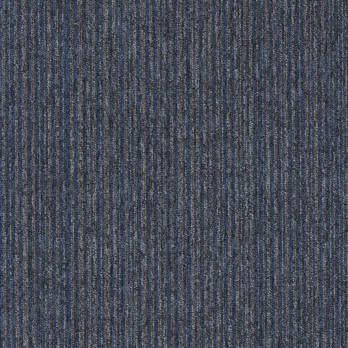Coral (Lines) - Image 5