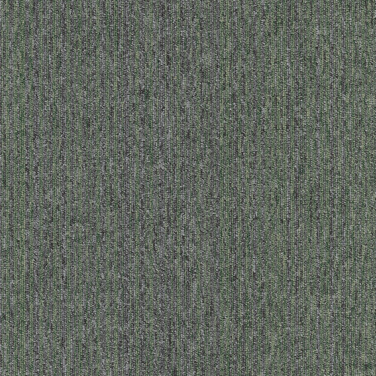 Coral (Lines) - Image 4