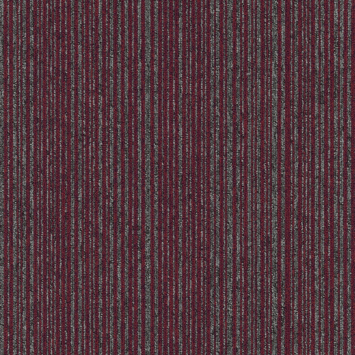 Coral (Lines) - Image 3