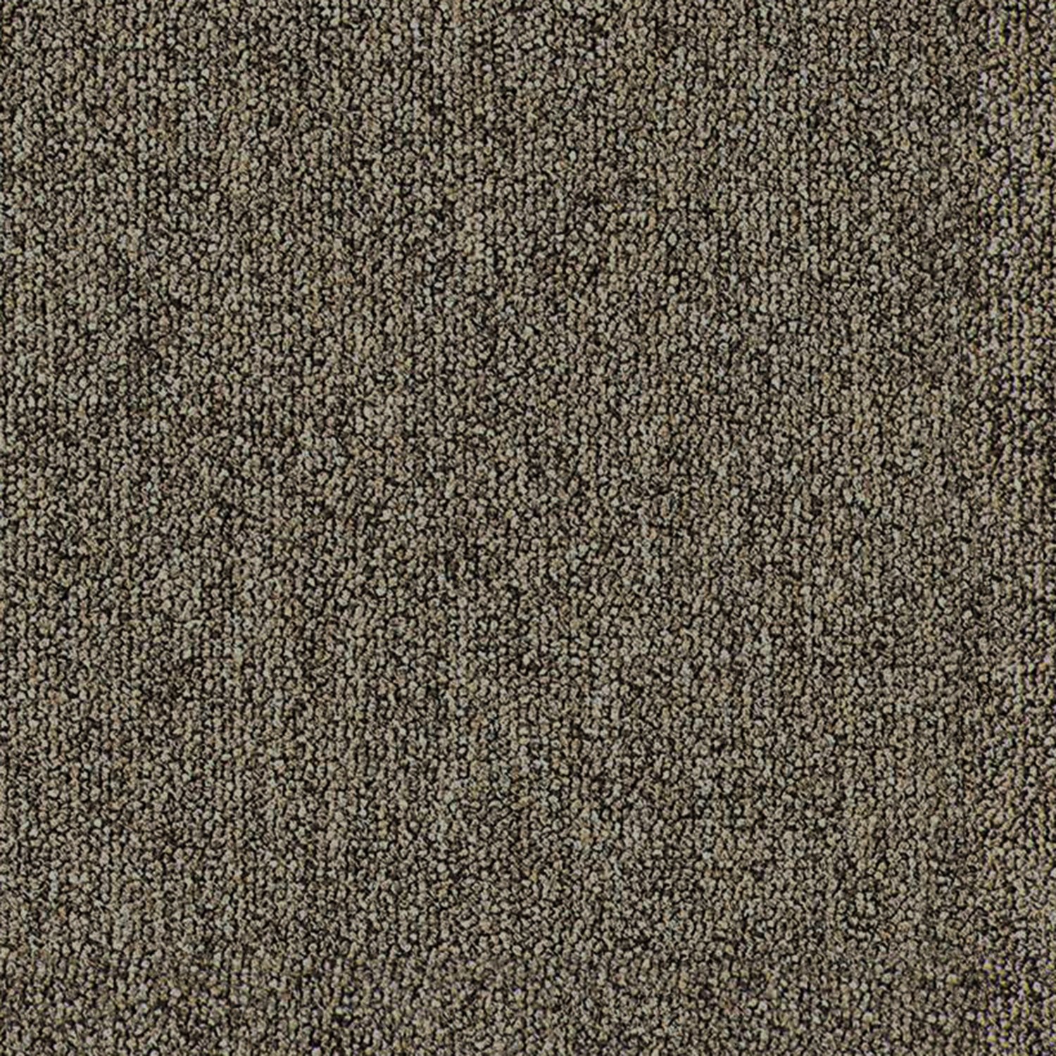 Country SDN - Image 9