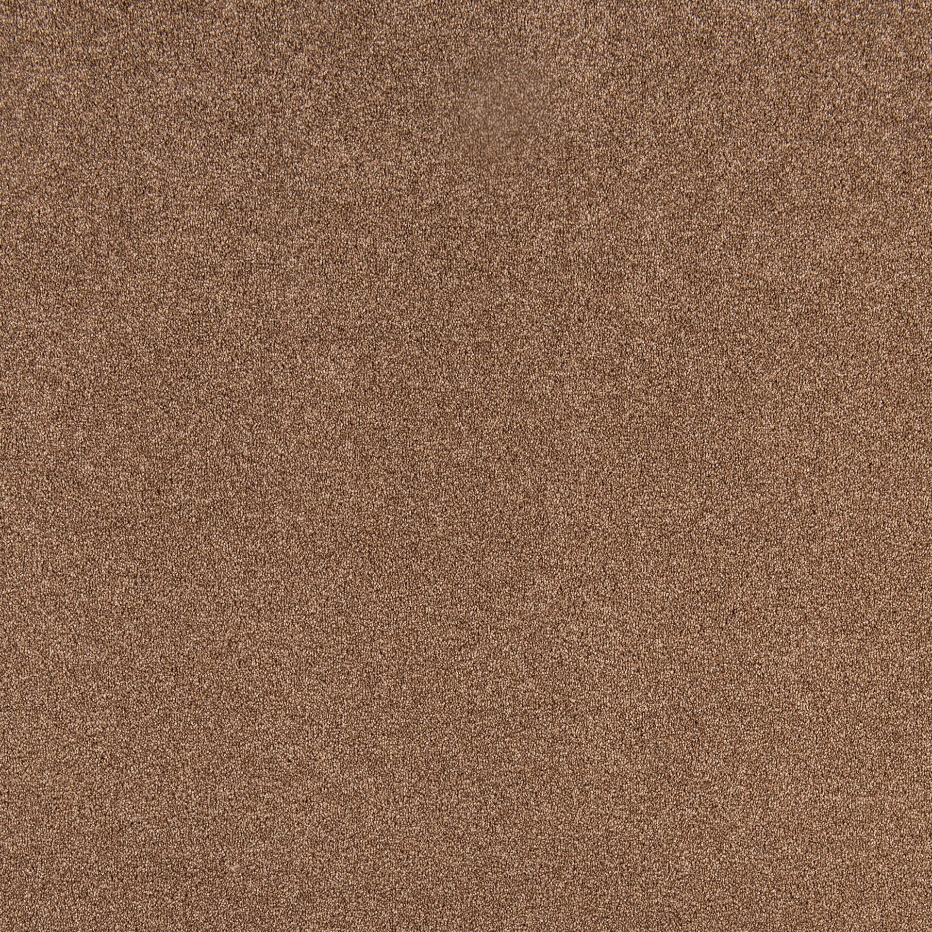 Diplomat - Image 16