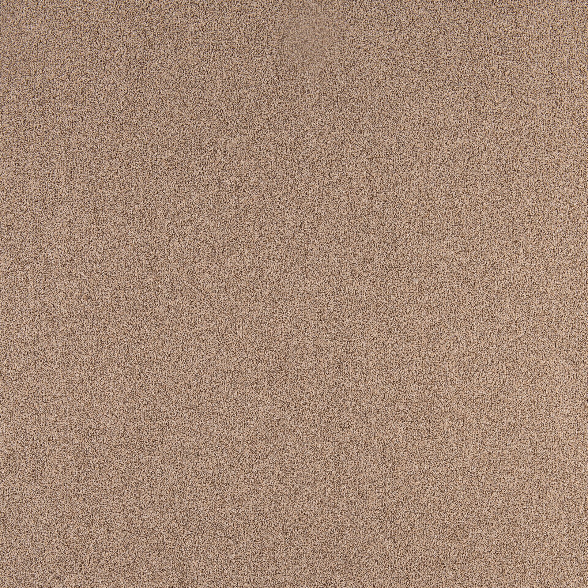 Diplomat - Image 15
