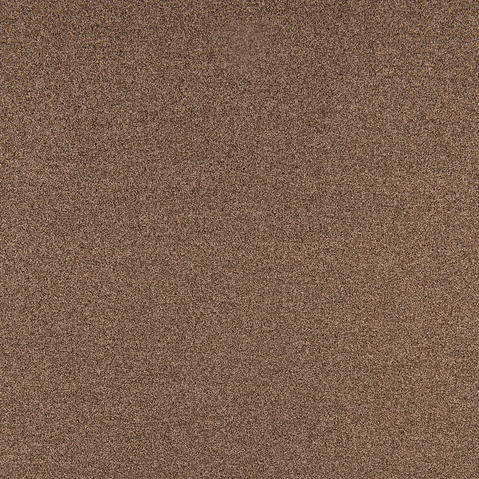 Diplomat - Image 14