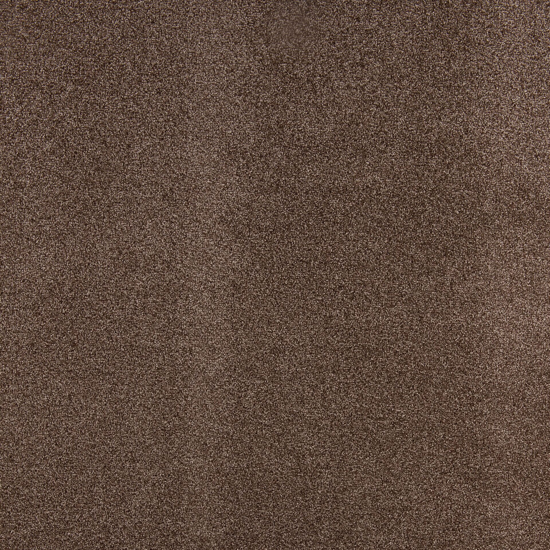Diplomat - Image 13