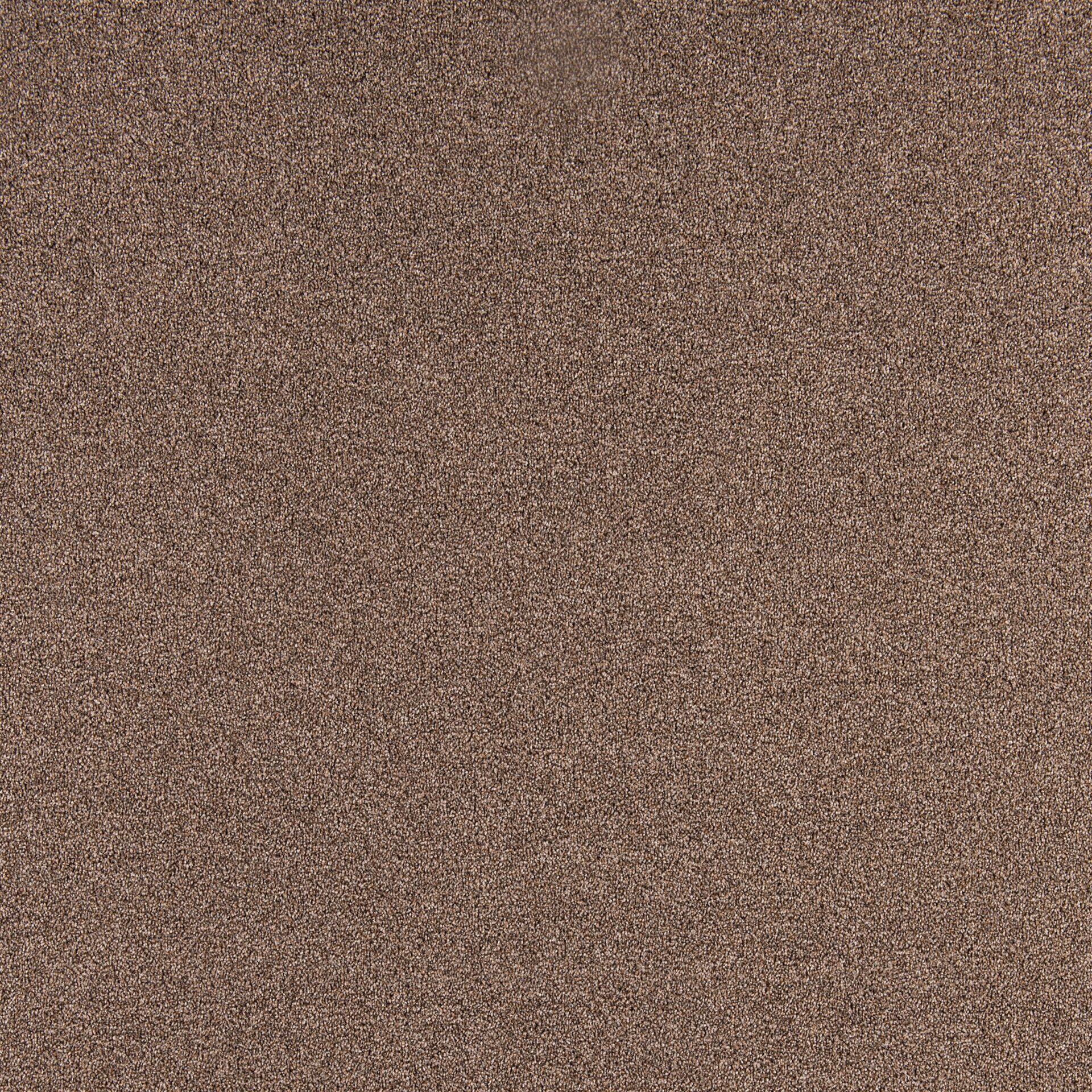 Diplomat - Image 12