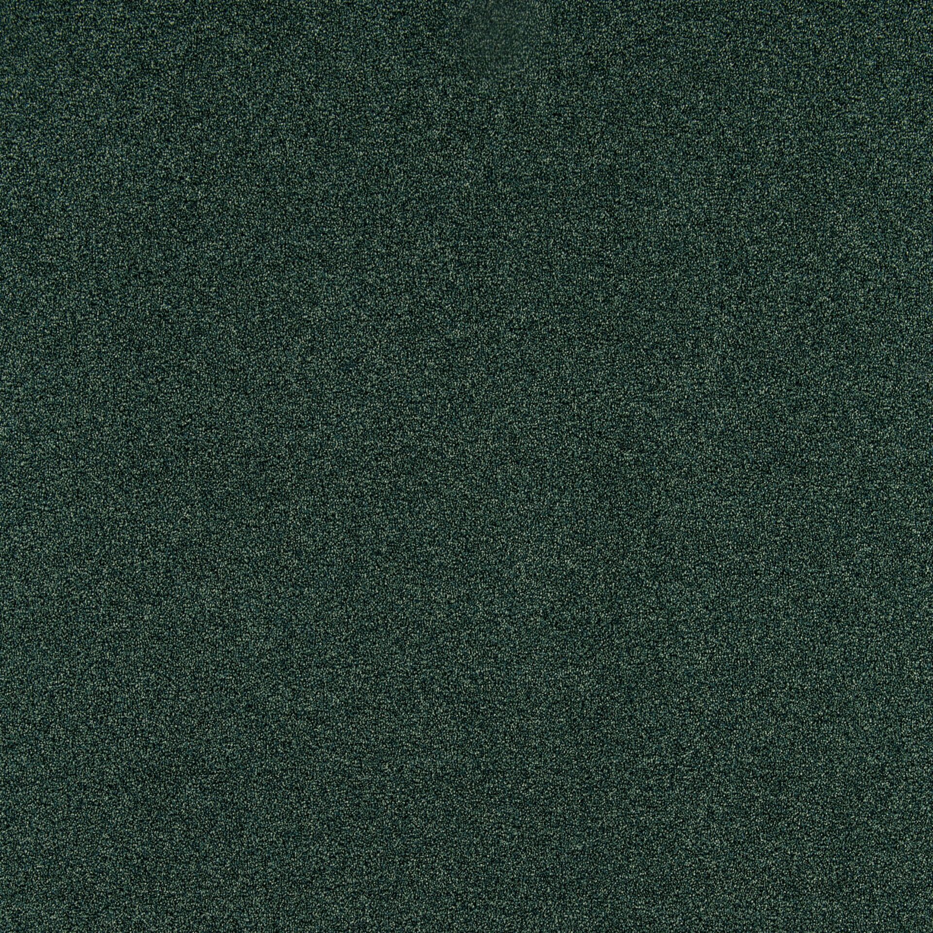 Diplomat - Image 2