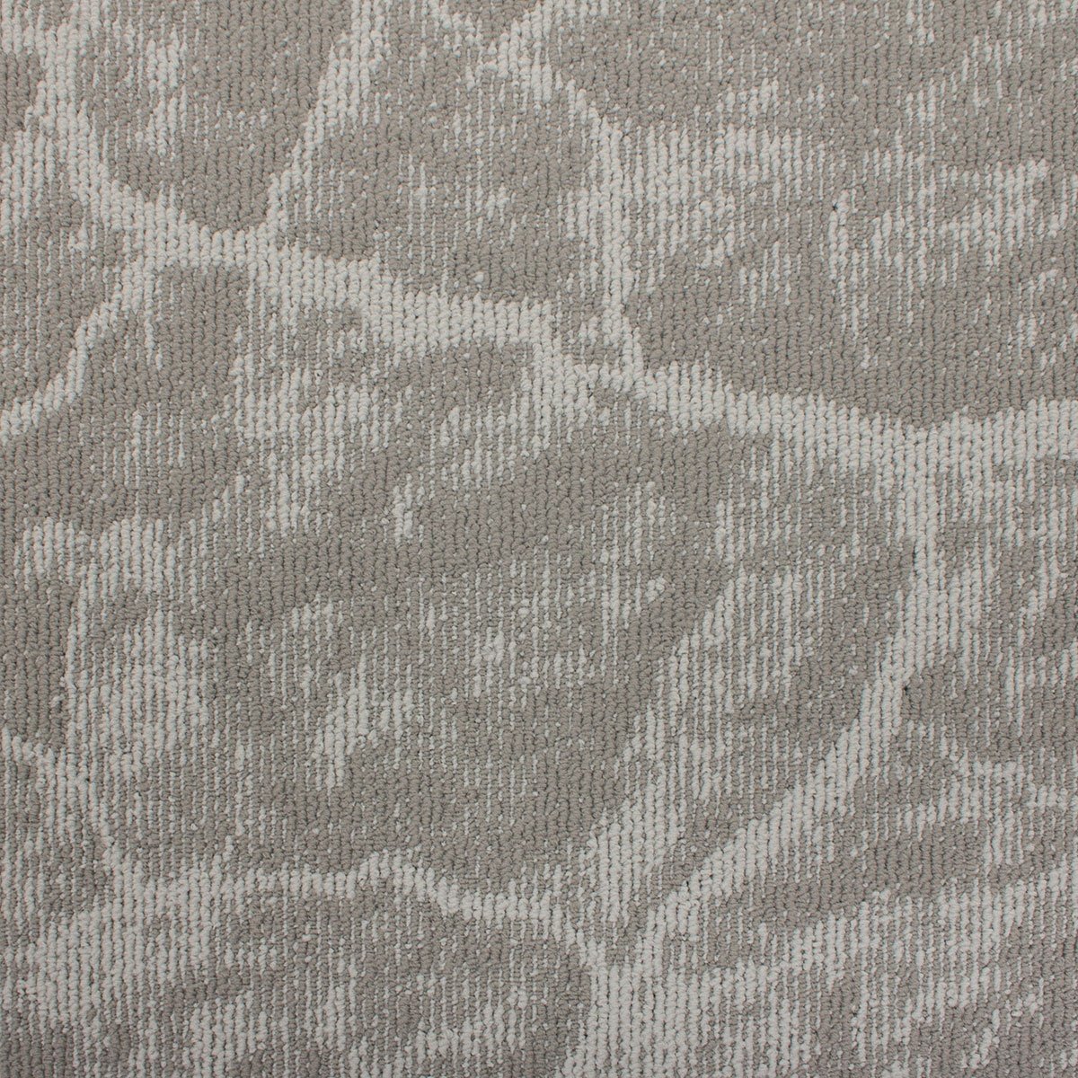 Earth - Image 2