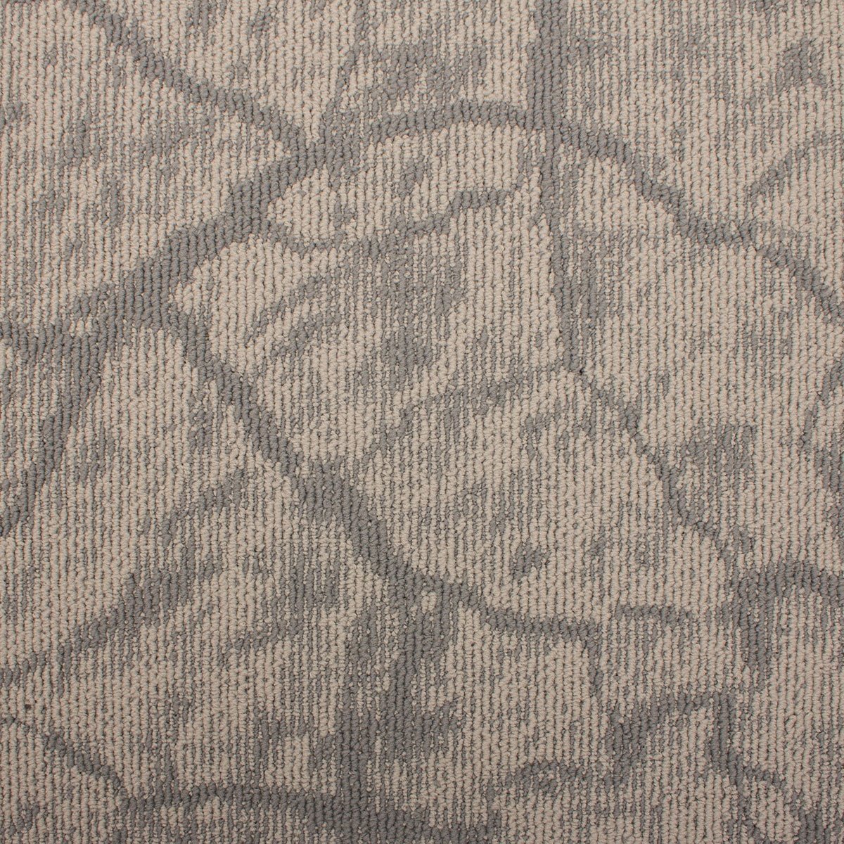 Earth - Image 12