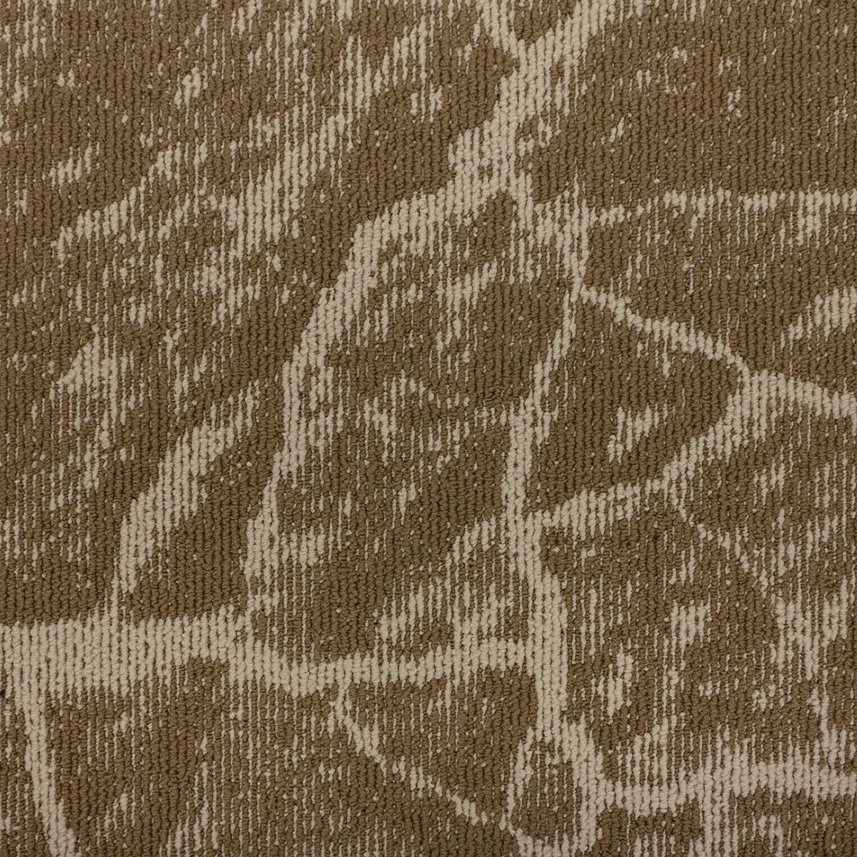 Earth - Image 11