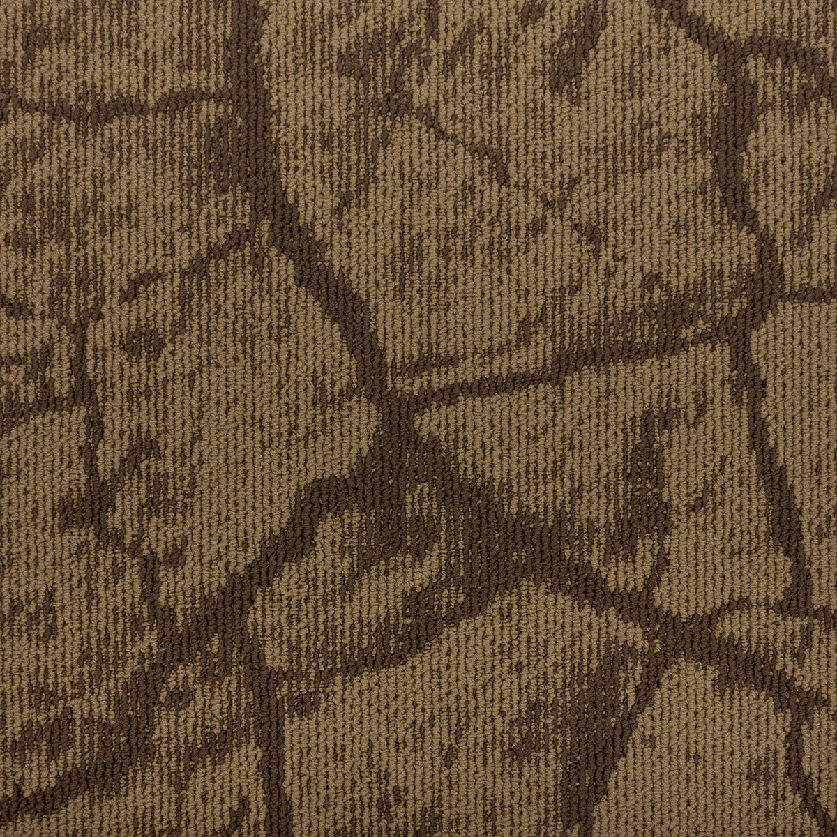 Earth - Image 3