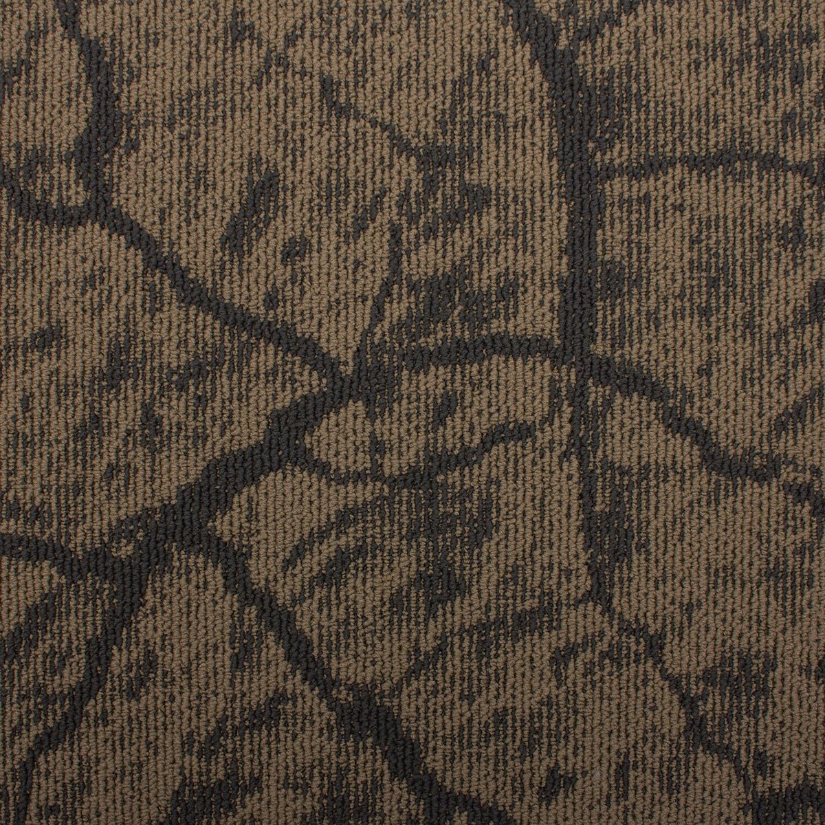 Earth - Image 10