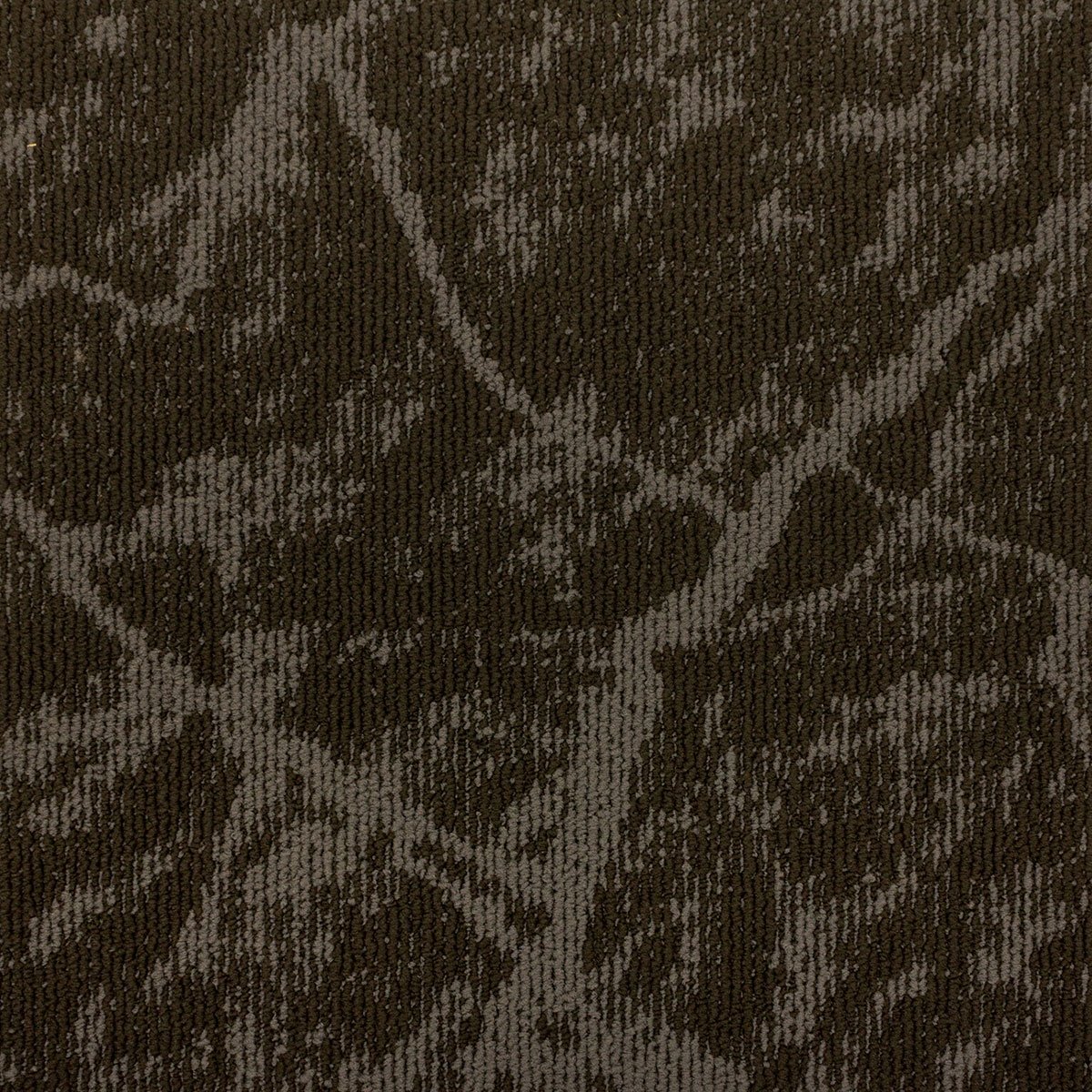Earth - Image 9