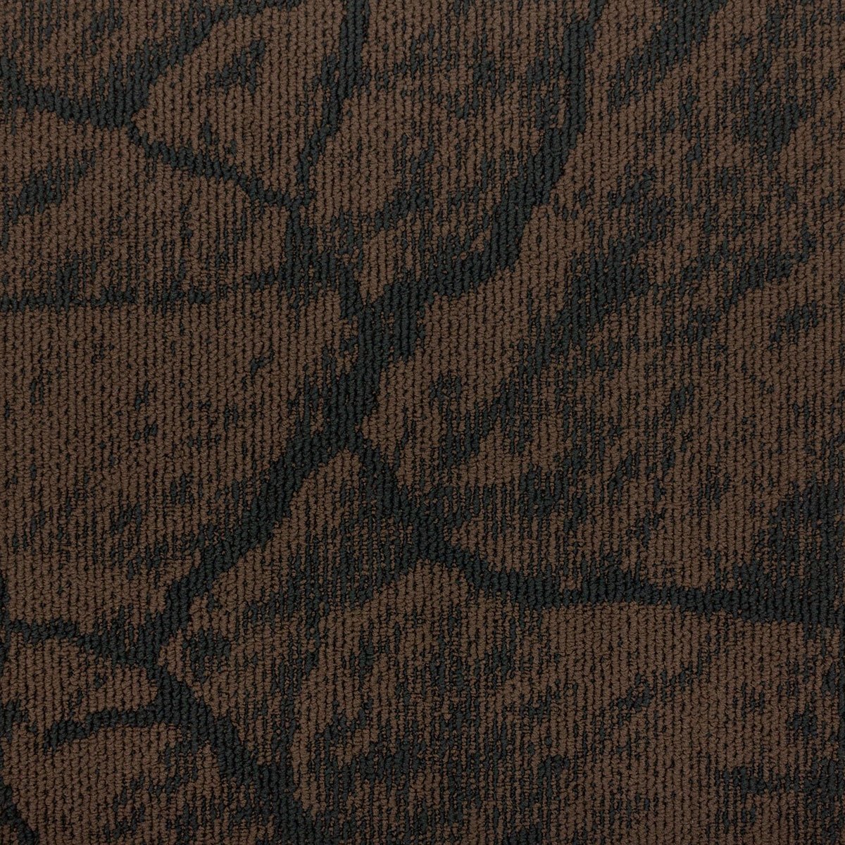Earth - Image 8